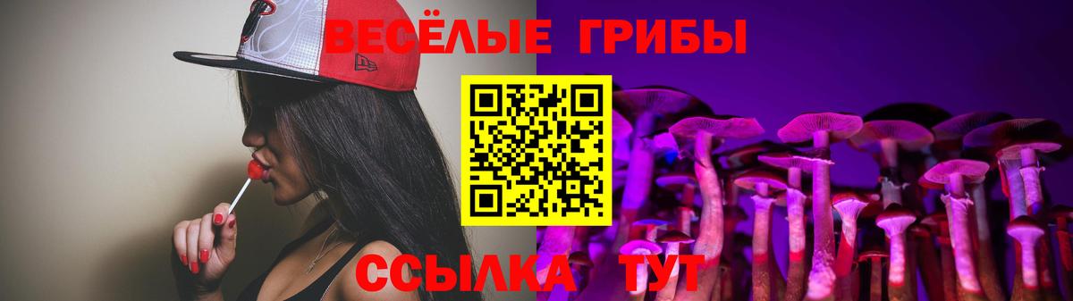Псилоцибиновые грибы Psilocybe Бугуруслан